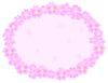 綺麗な桜　円