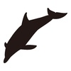 「イルカ　飛び込み」シルエット