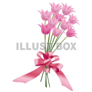 ピンクのチューリップの花束とリボン