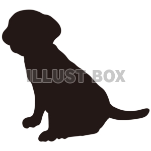 【シルエット】動物シリーズ　犬　ラブラドールレトリバー06
