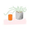 観葉植物とオレンジジュース