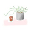観葉植物とアイスコーヒー