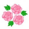 ピンクの薔薇