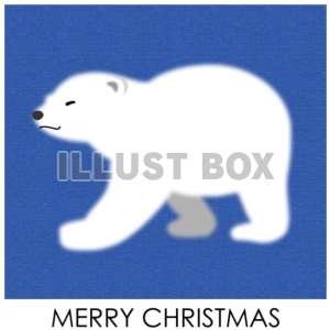白熊の赤ちゃん・クリスマスのイラスト
