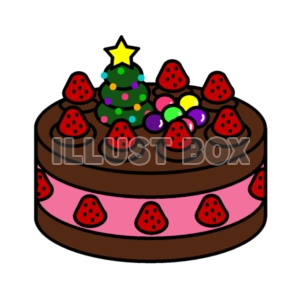 クリスマスケーキ　チョコ