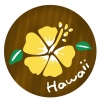 Hawaiiのハイビスカス（黄色）