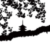 【シルエット】しだれ桜と五重の塔　京都