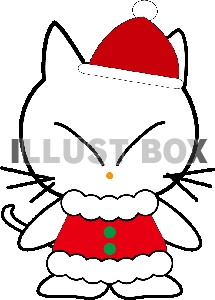 【透過PNG】コスプレ白猫サンタ