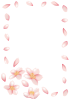 【透過PNGイラスト】　桜と花びらのフレーム02