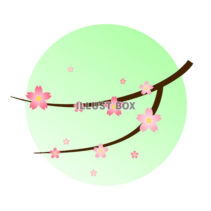 桜の素材（グリーン）[透過PNG]