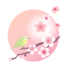 桜とうぐいす　透過PNG