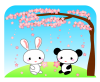 桜 お花見 ウサギとパンダ [透過PNG]