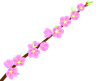 ひな祭り・桃の花６