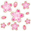桜の花のイラスト2 [透過PNG]