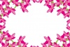 蘭の花のフレームのメッセージカード