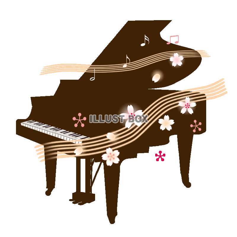 桜が踊るピアノ　透過PNG