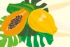 ハワイの果物マンゴーとモンステラの葉