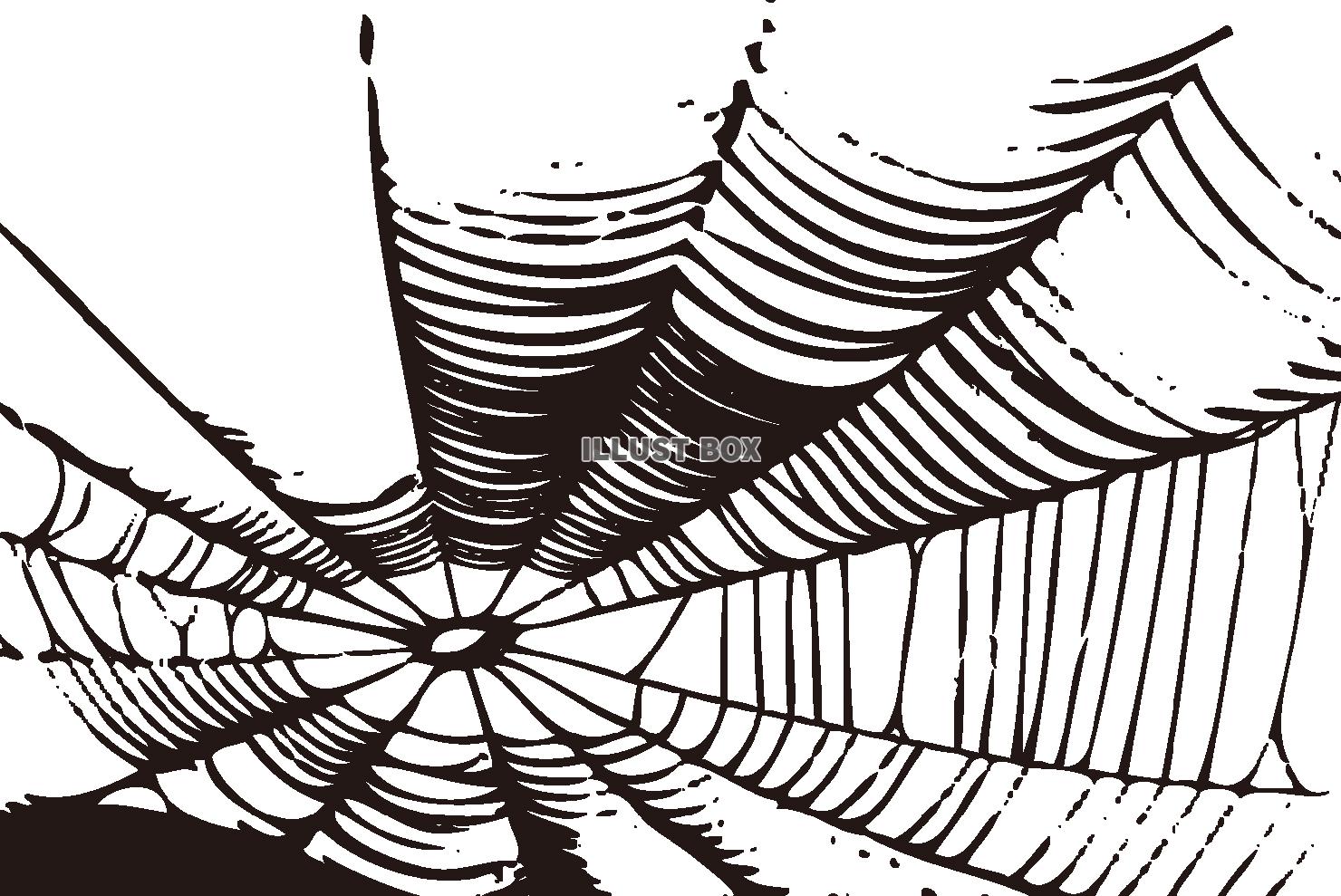 【ハロウィン素材】クモ　蜘蛛の巣
