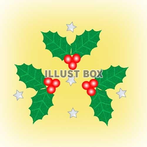 クリスマス〜柊と星