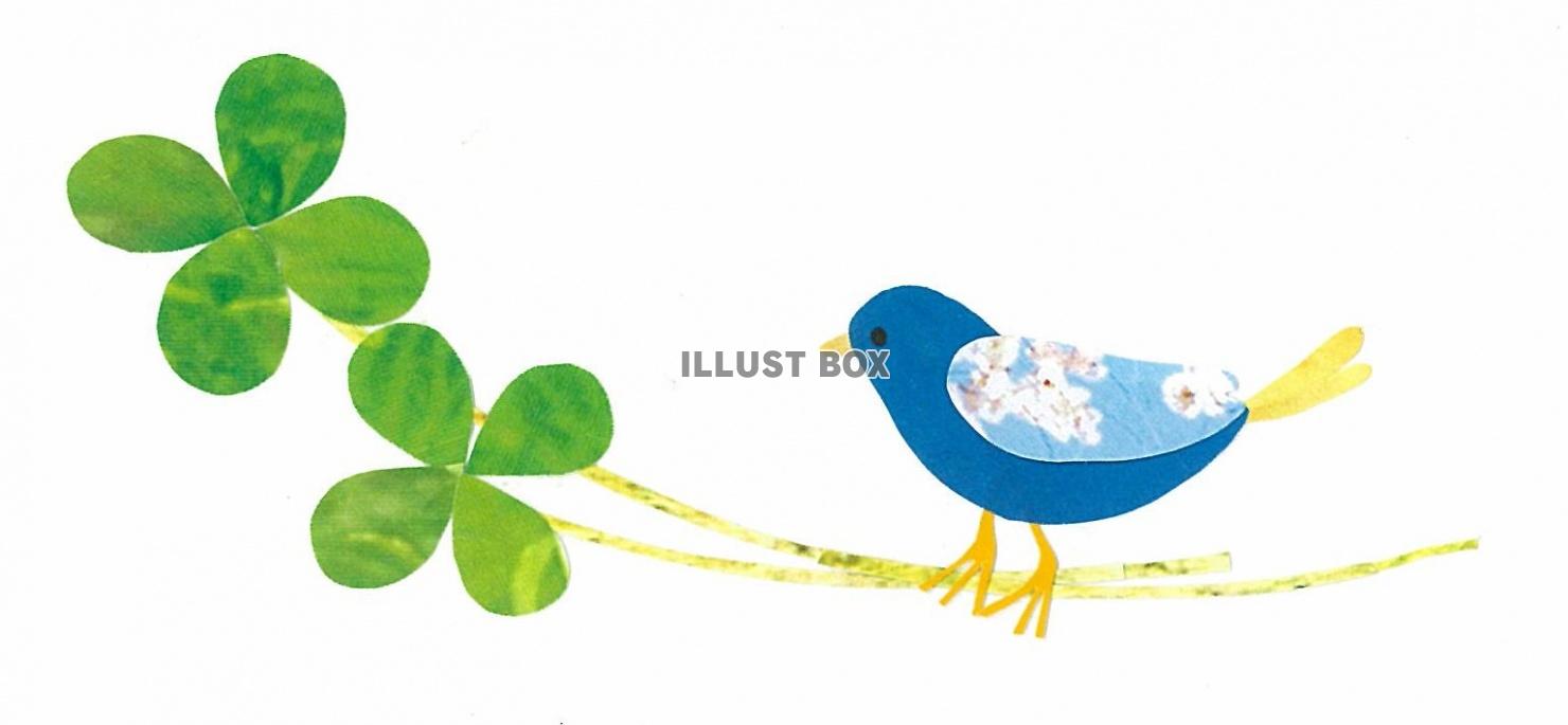 青い鳥と四つ葉のクローバー