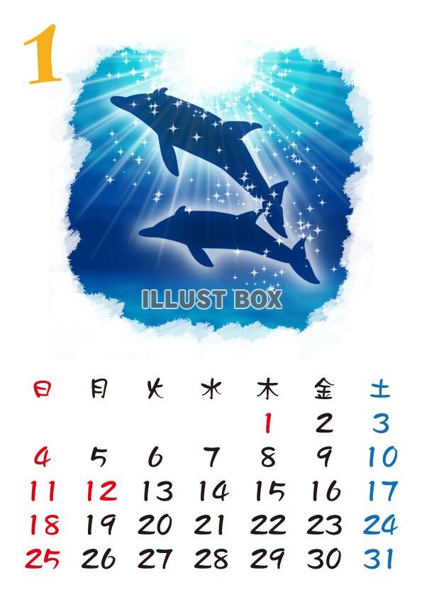 【2015カレンダー】海の中　1月