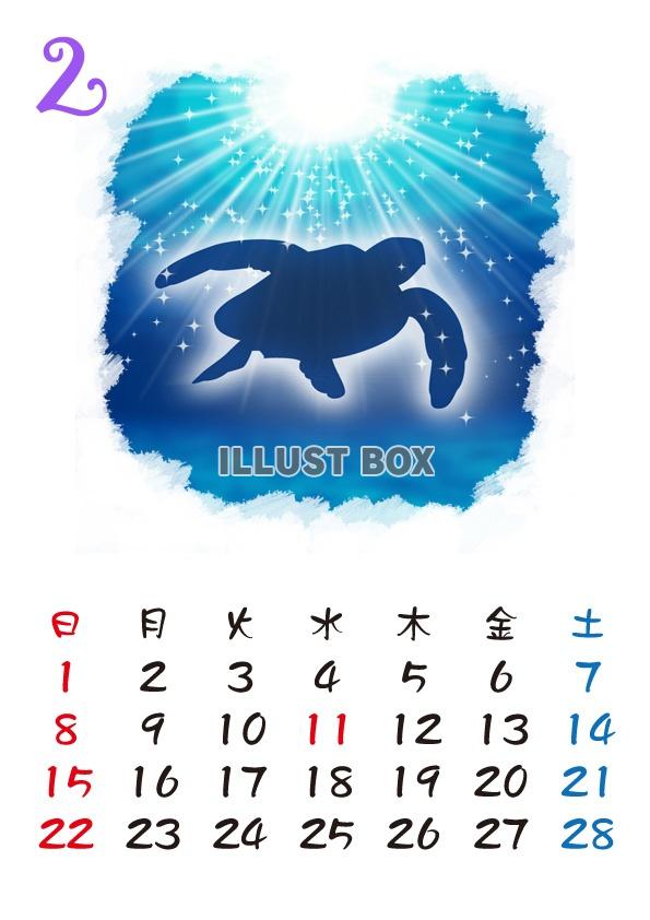 【2015カレンダー】海の中　2月