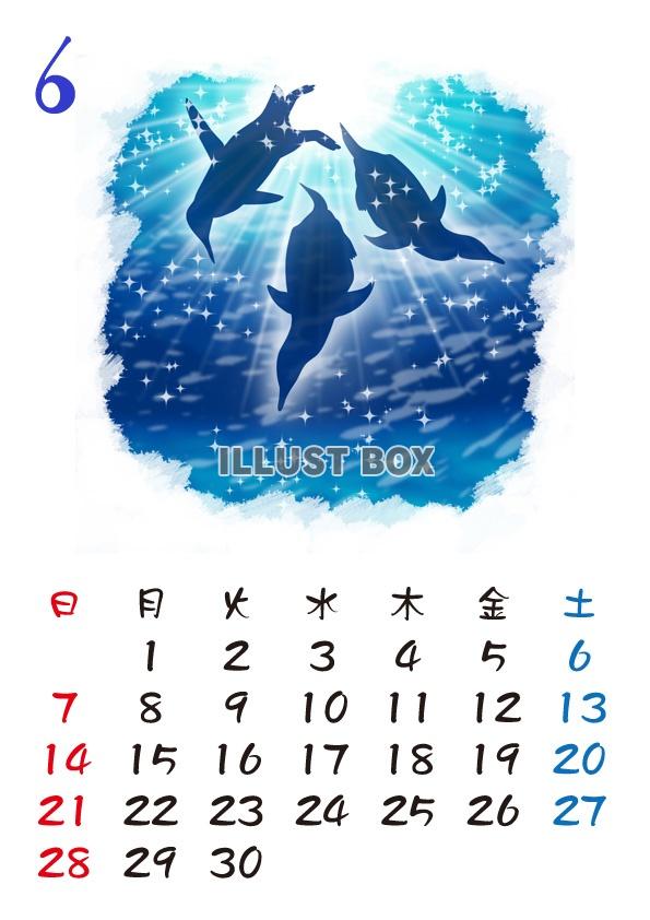 【2015カレンダー】海の中　6月