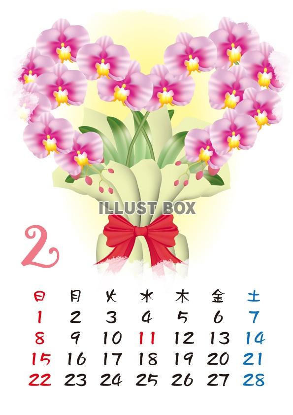 【2015カレンダー】四季の花カレンダー　2月