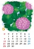 【2015カレンダー】四季の花カレンダー　6月