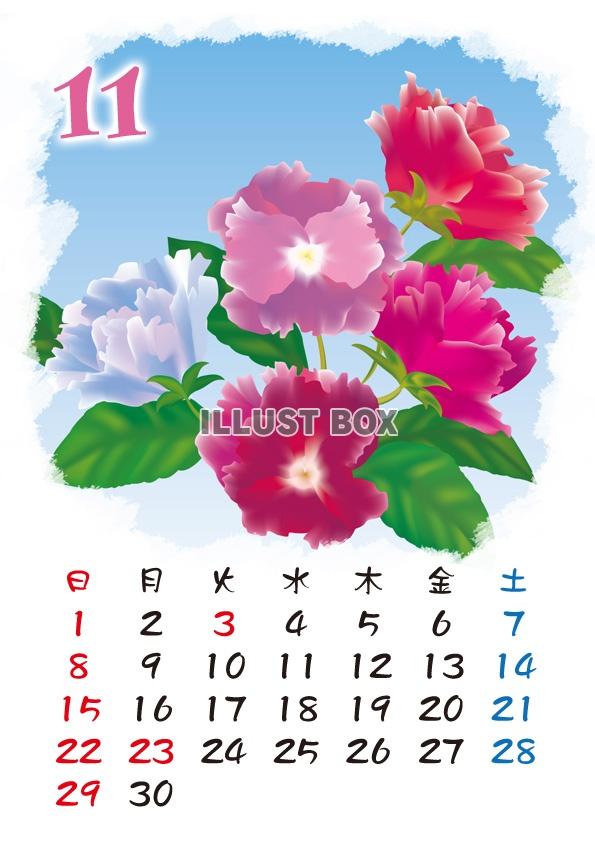 【2015カレンダー】四季の花カレンダー　11月