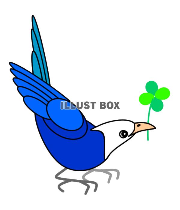 【透過png】青い鳥と四つ葉のクローバー11