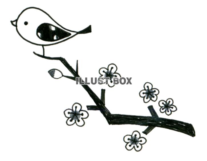 桜の木と鳥（モノクロ）【透過PNG】