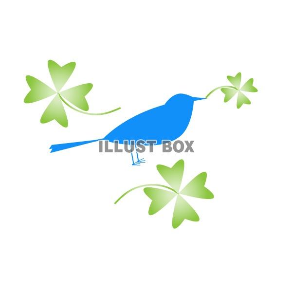 青い鳥と四つ葉のクローバ3