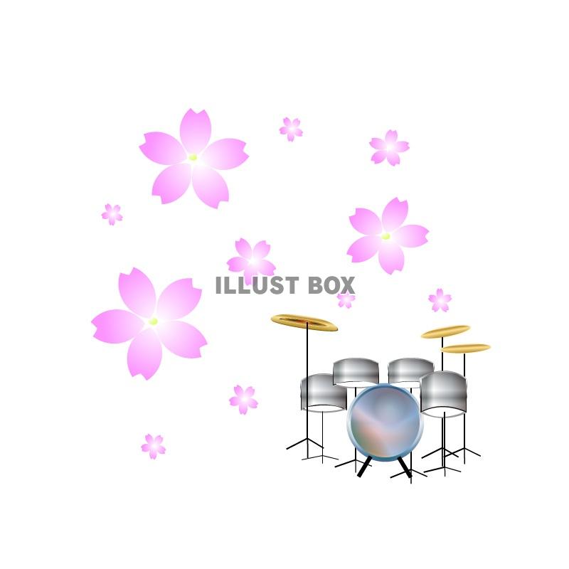 桜とドラム