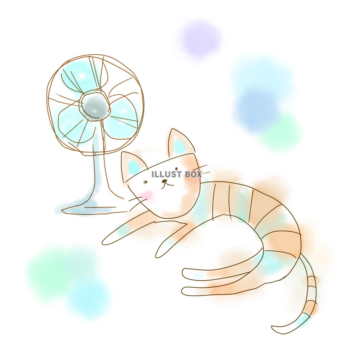 扇風機とネコ