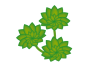多肉植物の緑の葉のPNGイラスト