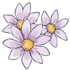紫花(透過PNG)