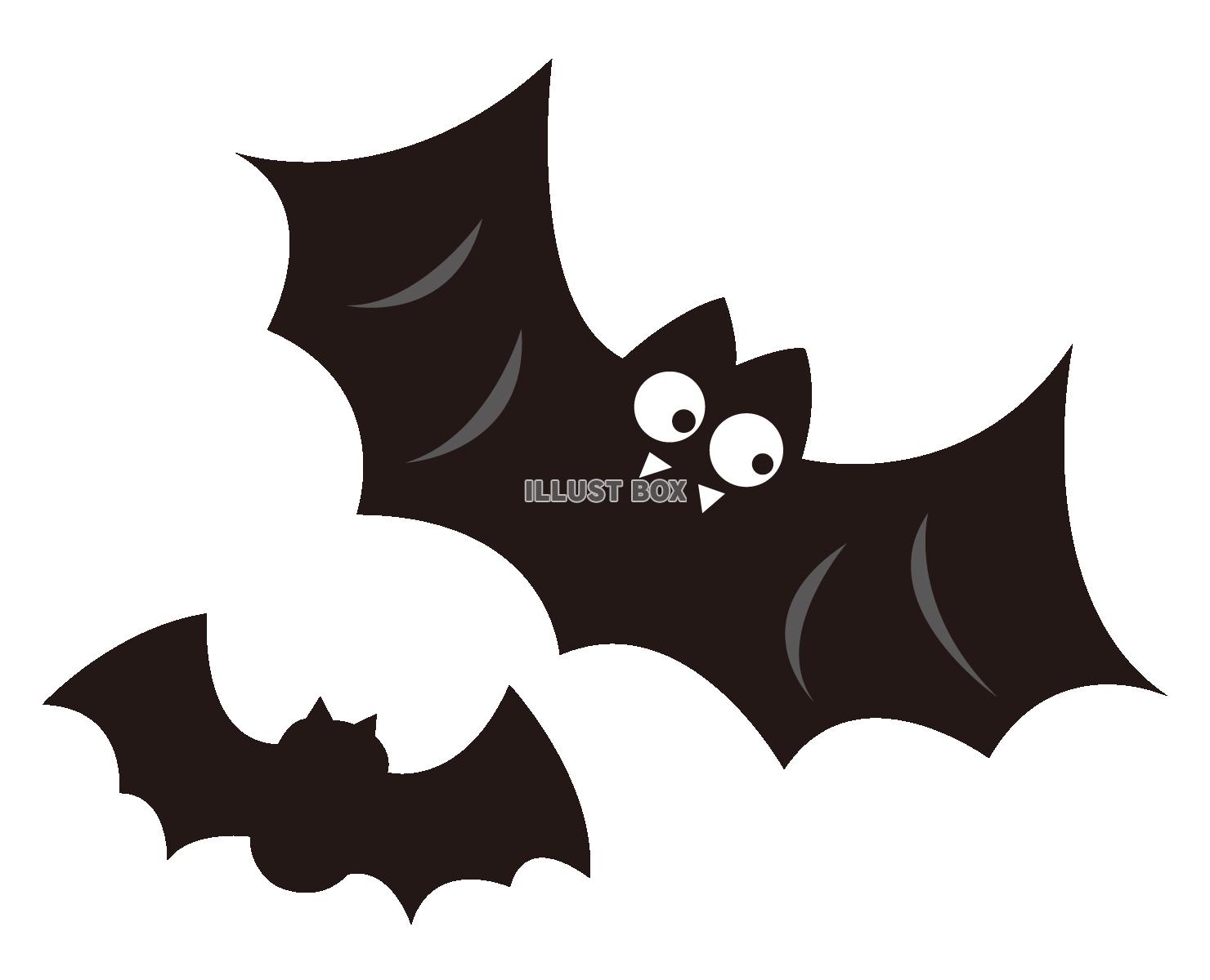 コウモリ　蝙蝠
