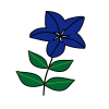 青紫の桔梗の花のPNG透過素材