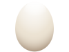 白卵（png・CS4eps）
