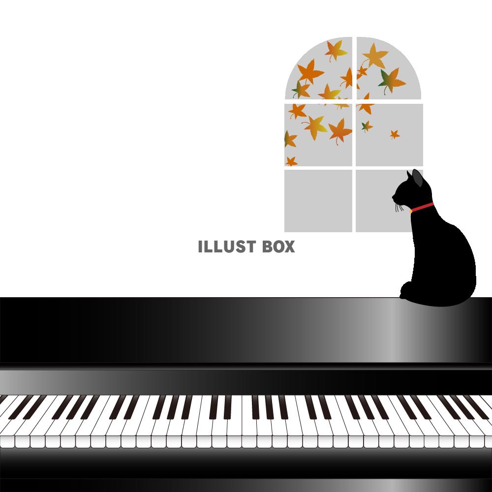 ピアノと猫