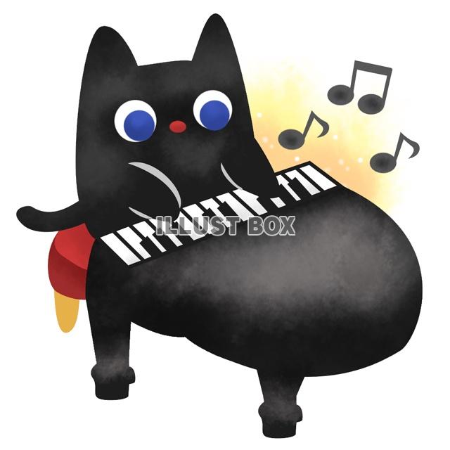 ピアノを弾く黒猫
