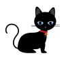 黒猫（子猫）
