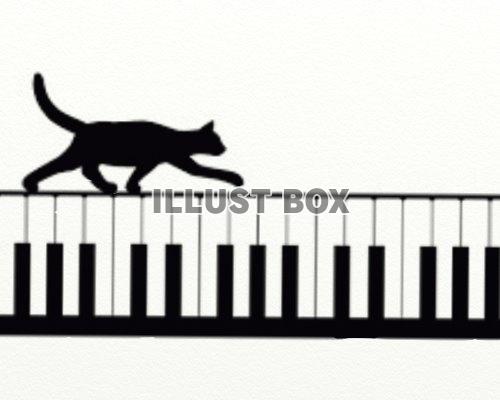 黒猫と鍵盤