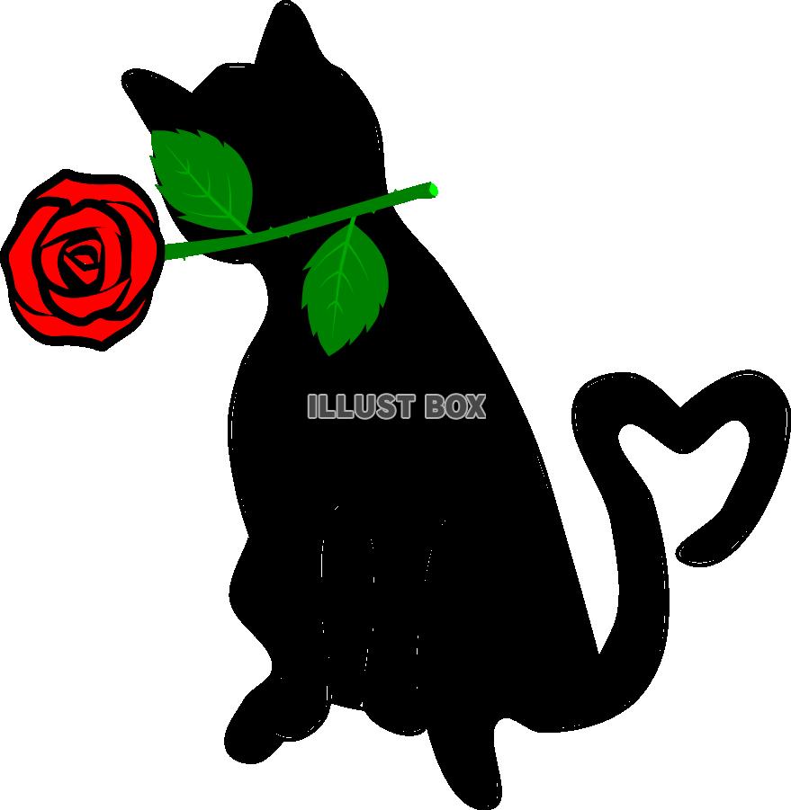 バラをくわえた黒猫【PNG透過】