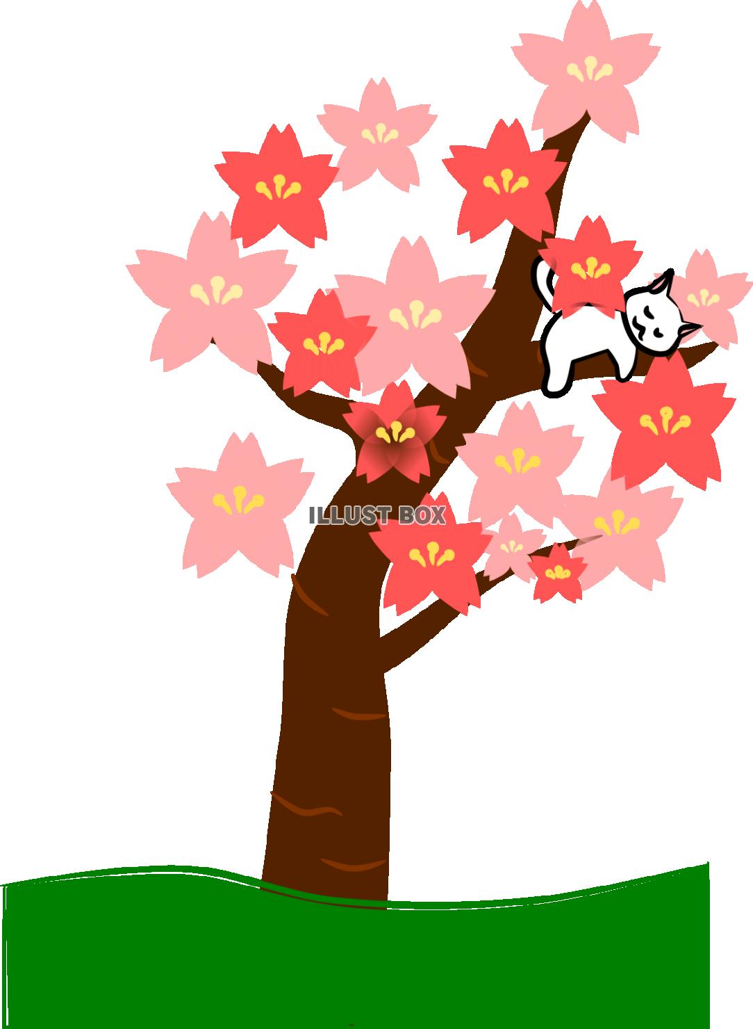桜の木とにゃんこ【PNG】