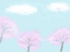 ハステル調　桜と空