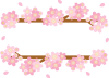 桜の文字枠