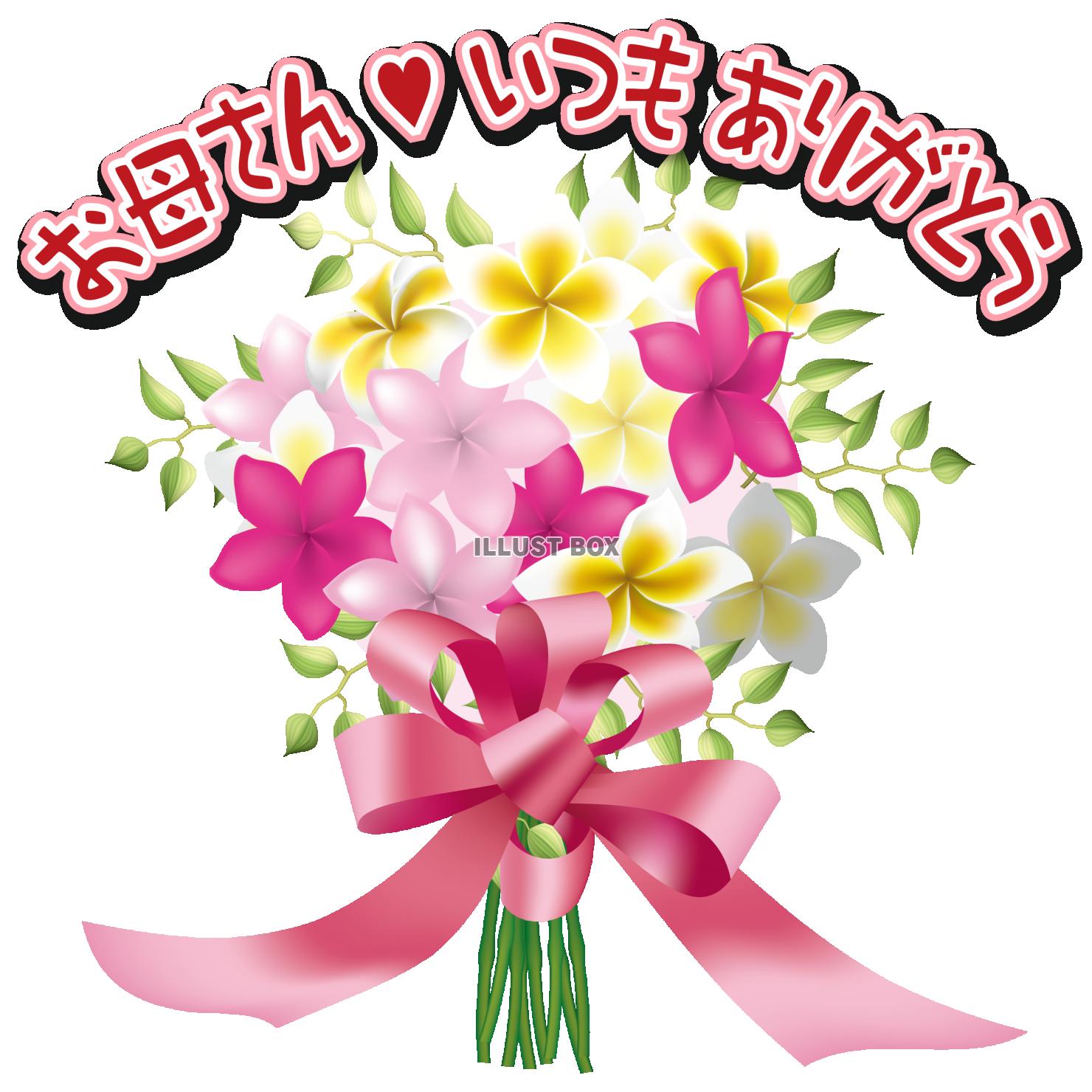【母の日 イラスト】高画質 花束　プルメリア2