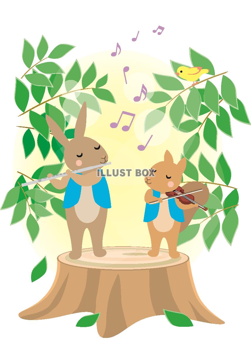 森の動物の音楽１